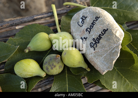Verschiedene Arten von Feigen auf einer im Freien Stand. Stockfoto