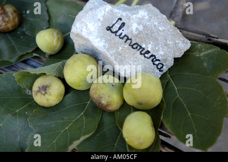 Verschiedene Arten von Feigen auf einer im Freien Stand. Stockfoto