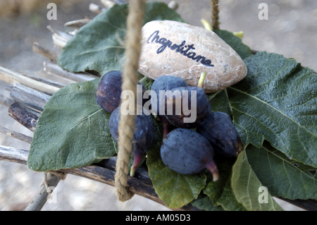 Verschiedene Arten von Feigen auf einer im Freien Stand. Stockfoto