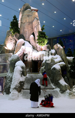 Vereinigte Arabische Emirate, Dubai, Mall of the Emirates, Ski Dubai, Skihalle, Spielfläche Stockfoto