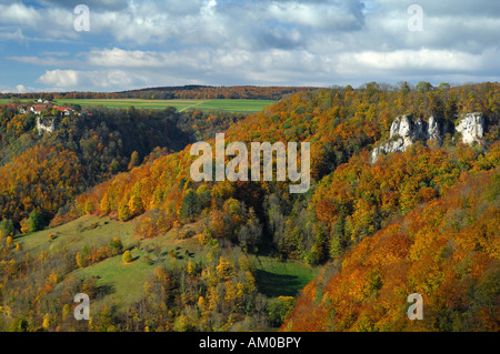 Herbstliche Buche Nut, Schwäbische Alb, Baden-Württemberg, Deutschland Stockfoto