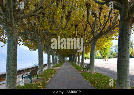 Boulevard de Lac, Frankreich, Rhone Alpes, Savoie, Aix-Les-Bains Stockfoto