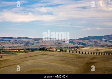 Mit Zypressen (Cupressus) gefüttert Landhaus im Tal Val d ' Orcia Crete Toskana Italien Stockfoto