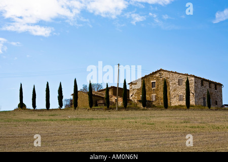 Mit Zypressen (Cupressus) gefüttert Landhaus im Tal Val d ' Orcia Crete Toskana Italien Stockfoto