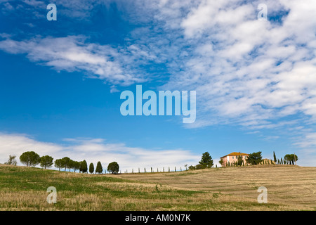 Mit Zypressen (Cupressus) gefüttert Landhaus im Tal Val d ' Orcia Crete Toskana Italien Stockfoto