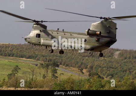Ein Boeing Chinook-Hubschrauber der 18 Squadron RAF auf Otterburn Truppenübungsplatz im Northumberland National Park Stockfoto