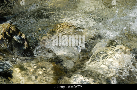 Bergige Containg kristallklares Wasser fließt über Kalkfelsen Stockfoto