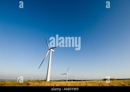 Eine Npower Windpark Carno Powys Mitte Wales in der Abendsonne, UK Stockfoto