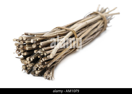 Bündel von Stöcken Stockfoto
