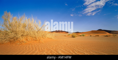 Sossusvlei, Namib-Naukluft-Nationalpark, Namibia, Afrika Stockfoto