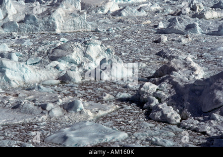 Eisberge, Diskobucht, Jacobshavner Eisfjord, Grönland Stockfoto