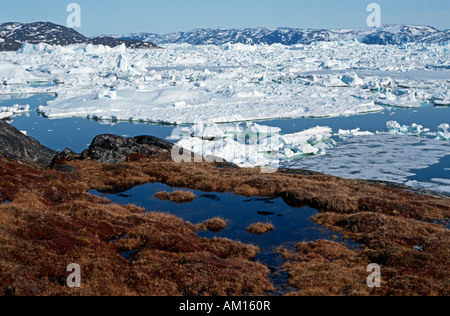 Eisberge, Diskobucht, Jacobshavner Eisfjord, Grönland Stockfoto