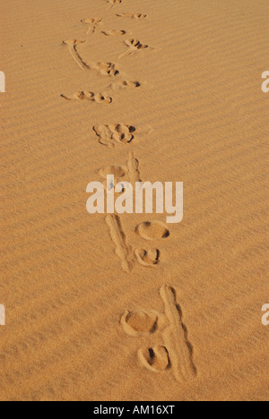 Oryx verfolgt im Bereich Sand, Sattel Hill, Diamant, Namibia Stockfoto