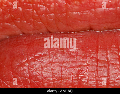 Extreme Nahaufnahme von menschlichen Lippen Stockfoto