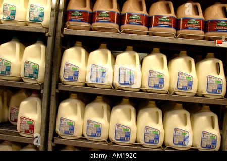 Gallonen Milch im Supermarkt Stockfoto