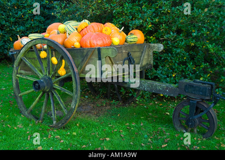 Herbst-Thema, einer alten Kutsche geschmückt mit Kürbissen steht in einem Garten Stockfoto