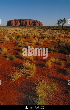 Ayers Rock, Uluru, magischen Felsen der Aborigines, Yulara, Ayers Rock, Northern Territories, Australien, Australien genannt Stockfoto