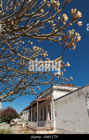 Architektur in der Geisterstadt Ibo Insel, Quirimbas Inseln, Mosambik, Afrika Stockfoto