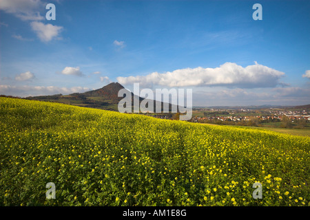 Hegau Berges Hohenhewen, Hegau, Landkreis Konstanz, Baden-Württemberg, Deutschland Stockfoto