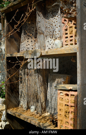 Schaffhausen - Verschachtelung Platz für Wildbienen und andere Insekten - Schweiz, Europa. Stockfoto