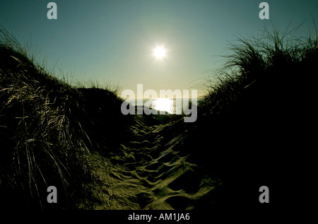 Weg zum Strand Stockfoto