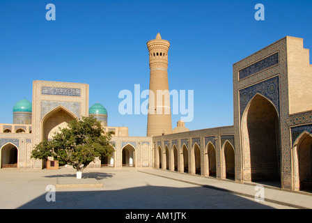 Hof mit Baum vorne verziert reichen Iwan innen Kalon Moschee mit Minarett Kalon Buchara Usbekistan Stockfoto