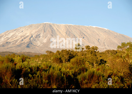 Blick vom Rongai Route über Heide am Kilimanjaro Tanzania Stockfoto