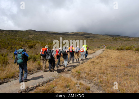 Gruppe von Wanderern auf Rongai Route Kilimanjaro Tanzania Stockfoto
