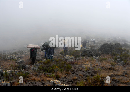 Örtlichen Träger im Nebel Kikelewa-Route-Kilimanjaro-Tansania Stockfoto