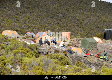 Zelte in Horombo Hütte Camp Marangu Route Kilimanjaro Tanzania Stockfoto