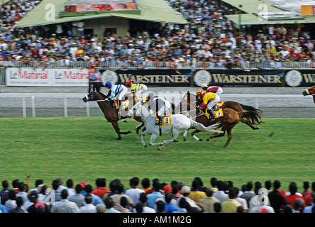 Rennbahn der Insel Mauritius Turf Club, Mauritius, Afrika Stockfoto