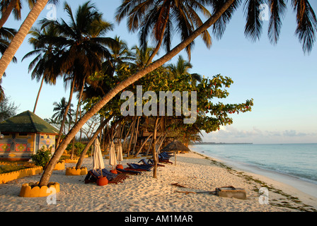 Weißen Sandstrand unter Palmen am Indischen Ozean Sansibar Tansania Stockfoto