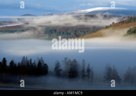 Wetter Inversionsschicht über den Fluss Dee Tal der oberen Einzugsgebiet, in Mar Lodge Estate, Royal Deeside, Cairngorm National Park, Schottland, Großbritannien