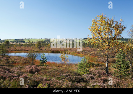 Schwarzes Moor, Rhön, Franken, Deutschland Stockfoto