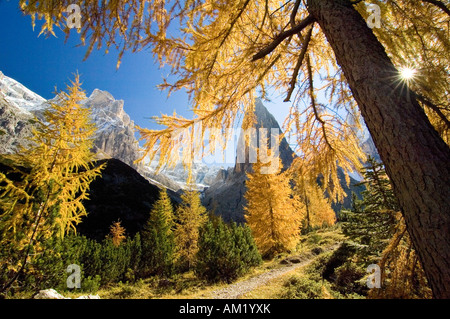 Wanderweg im Fischleintal mit Zwölferkogel, Sextenan Dolomiten, Südtirol, Italien Stockfoto