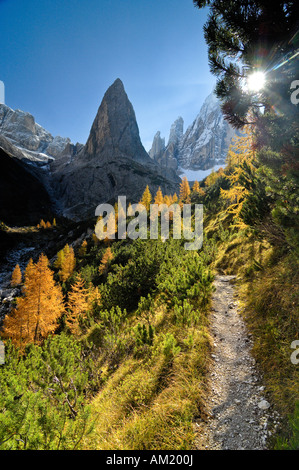 Wanderweg im Fischleintal mit Zwölferkogel, Sextenan Dolomiten, Südtirol, Italien Stockfoto