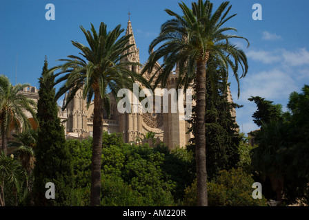 Kathedrale Le Seu in Palma De Mallorca auf dem Hügel mit Blick auf die Südküste von Mallorca Spanien des 14. Jahrhunderts datiert Stockfoto