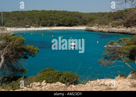 Cala Mondrago Naturpark mit seltenen Pflanzen in den Hintergrund Strand Ostküste von Mallorca Spanien Stockfoto