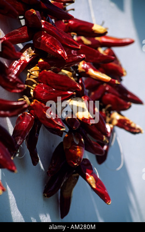 Frankreich, Pyrenees Atlantiques, Pays Basque, Espelette-Chili-Pfeffer Stockfoto