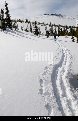 Backcountry Skifahrer und Snowboarder auf Flattop Mountain in Rocky Mountain Nationalpark, Colorado, Vereinigte Staaten von Amerika, Nordamerika. Stockfoto