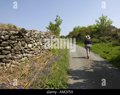 Fuß ins Walkham-Tal auf Dartmoor, Devon Stockfoto