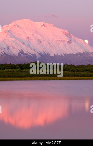 Der Vollmond und Mt McKinley von Reflection Pond Denali Nationalpark, Alaska Stockfoto