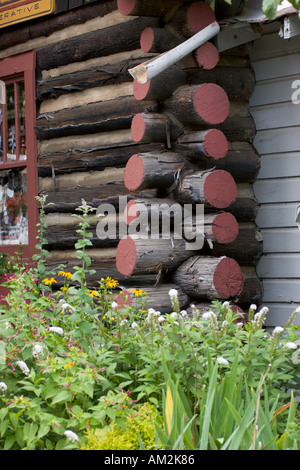 Wildblumen blühen am Rand authentischen Blockhaus-Struktur konvertiert ein Souvenirladen in Sylva North Carolina USA Stockfoto