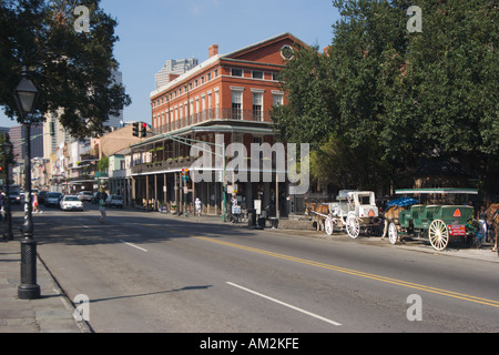 Pferdekutsche Kutschen warten auf Kunden in Decatur Street im French Quarter von New Orleans Louisa Stockfoto