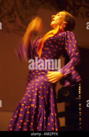 Flamenco-Tanz in einem Tablao CORDOBA Andalusien Spanien Stockfoto