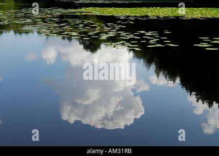 Reflexion der Wolken in See Stockfoto