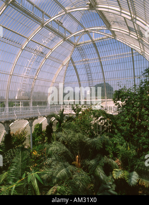 England. London. Kew Gardens. Palmenhaus Stockfoto
