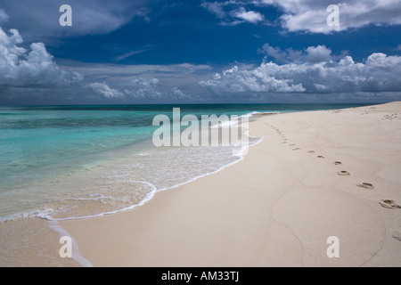 Spuren führen in Paridise auf Upolu Cay im Great Barrier Reef, Queensland, Australien Stockfoto