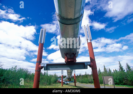 Trans-Alaska-Pipeline auf Route 4 in der Nähe von Paxson AK Stockfoto