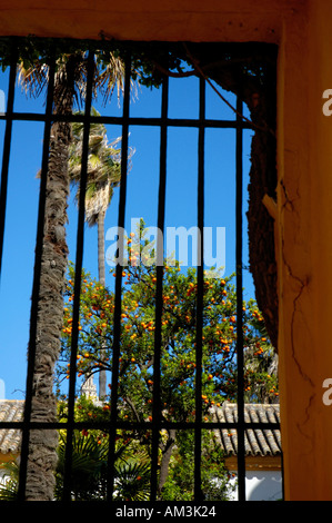 Spanien Andalusien Sevilla Reales Alcazares Gärten Stockfoto